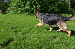 2013-juin-05034.jpg