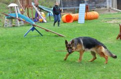 2013-mai-12092.jpg