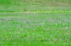 2013-mai-21003.jpg