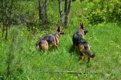 2013-mai-31005.jpg