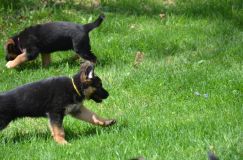 2014-05-19k020.jpg