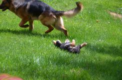 2015-06-14r012.jpg