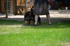 2015-06-14r029.jpg