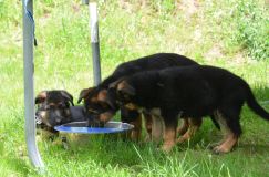 Nom du fichier=2015-06-14s003.jpg
Taille du fichier=207Ko
Dimensions : 1200x795
Ajouté le : 14 Juin 2015 2015-06-14s003.jpg