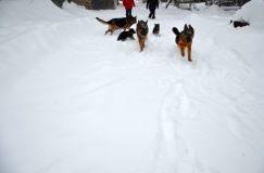 Nom du fichier=2015-12-29roxy004.jpg
Taille du fichier=79Ko
Dimensions : 1200x795
Ajouté le : 29 Décembre 2015 2015-12-29roxy004.jpg