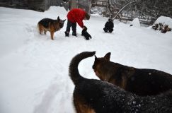 Nom du fichier=2015-12-29roxy009.jpg
Taille du fichier=138Ko
Dimensions : 1200x795
Ajouté le : 29 Décembre 2015 2015-12-29roxy009.jpg
