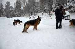Nom du fichier=2015-12-29roxy032.jpg
Taille du fichier=190Ko
Dimensions : 1200x795
Ajouté le : 29 Décembre 2015 2015-12-29roxy032.jpg