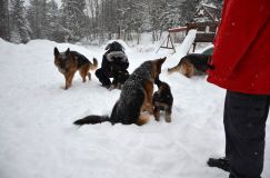 Nom du fichier=2015-12-29roxy033.jpg
Taille du fichier=169Ko
Dimensions : 1200x795
Ajouté le : 29 Décembre 2015 2015-12-29roxy033.jpg