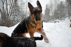 Nom du fichier=2015-12-29roxy034.jpg
Taille du fichier=184Ko
Dimensions : 1200x795
Ajouté le : 29 Décembre 2015 2015-12-29roxy034.jpg