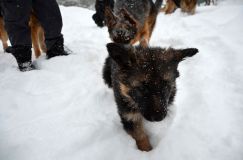 Nom du fichier=2015-12-29roxy035.jpg
Taille du fichier=115Ko
Dimensions : 1200x795
Ajouté le : 29 Décembre 2015 2015-12-29roxy035.jpg