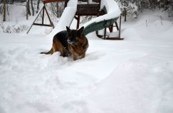 Nom du fichier=2015-12-29roxy036.jpg
Taille du fichier=120Ko
Dimensions : 1200x795
Ajouté le : 29 Décembre 2015 2015-12-29roxy036.jpg