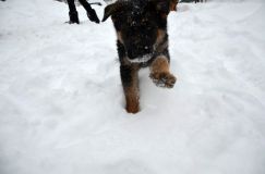 Nom du fichier=2015-12-29roxy039.jpg
Taille du fichier=89Ko
Dimensions : 1200x795
Ajouté le : 29 Décembre 2015 2015-12-29roxy039.jpg