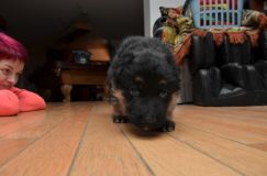 2016-01-17-lady008.jpg