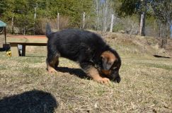 2016-04-30harleybleuclair008.jpg