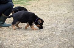 Nom du fichier=2016-05-01harleyfemelle002.jpg
Taille du fichier=220Ko
Dimensions : 1200x795
Ajouté le : 01 Mai 2016 2016-05-01harleyfemelle002.jpg