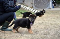 Nom du fichier=2016-05-01harleyfemelle003.jpg
Taille du fichier=197Ko
Dimensions : 1200x795
Ajouté le : 01 Mai 2016 2016-05-01harleyfemelle003.jpg
