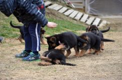 Nom du fichier=2016-05-01harleyfemelle009.jpg
Taille du fichier=187Ko
Dimensions : 1200x795
Ajouté le : 01 Mai 2016 2016-05-01harleyfemelle009.jpg