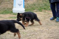 Nom du fichier=2016-05-01harleyfemelle011.jpg
Taille du fichier=142Ko
Dimensions : 1200x795
Ajouté le : 01 Mai 2016 2016-05-01harleyfemelle011.jpg