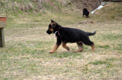 Nom du fichier=2016-05-01harleyfemelle012.jpg
Taille du fichier=222Ko
Dimensions : 1200x795
Ajouté le : 01 Mai 2016 2016-05-01harleyfemelle012.jpg
