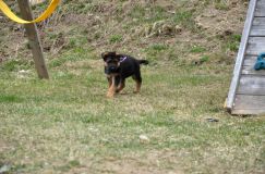 Nom du fichier=2016-05-01harleyfemelle013.jpg
Taille du fichier=254Ko
Dimensions : 1200x795
Ajouté le : 01 Mai 2016 2016-05-01harleyfemelle013.jpg