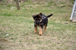 Nom du fichier=2016-05-01harleyfemelle014.jpg
Taille du fichier=221Ko
Dimensions : 1200x795
Ajouté le : 01 Mai 2016 2016-05-01harleyfemelle014.jpg