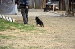 Nom du fichier=2016-05-01harleyfemelle018.jpg
Taille du fichier=232Ko
Dimensions : 1200x795
Ajouté le : 01 Mai 2016 2016-05-01harleyfemelle018.jpg