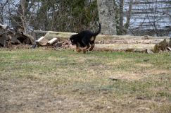 Nom du fichier=2016-05-01harleyfemelle022.jpg
Taille du fichier=230Ko
Dimensions : 1200x795
Ajouté le : 01 Mai 2016 2016-05-01harleyfemelle022.jpg