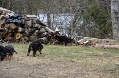 Nom du fichier=2016-05-01harleyfemelle023.jpg
Taille du fichier=279Ko
Dimensions : 1200x795
Ajouté le : 01 Mai 2016 2016-05-01harleyfemelle023.jpg