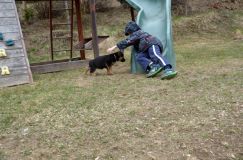 2016-05-01harleyfemelle025.jpg
