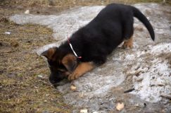 Nom du fichier=2016-05-01harleyfemelle029.jpg
Taille du fichier=226Ko
Dimensions : 1200x795
Ajouté le : 01 Mai 2016 2016-05-01harleyfemelle029.jpg