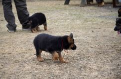 Nom du fichier=2016-05-01harleyfemelle035.jpg
Taille du fichier=224Ko
Dimensions : 1200x795
Ajouté le : 01 Mai 2016 2016-05-01harleyfemelle035.jpg