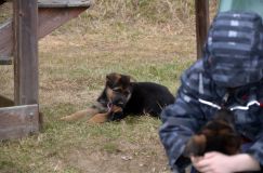 Nom du fichier=2016-05-01harleyfemelle039.jpg
Taille du fichier=183Ko
Dimensions : 1200x795
Ajouté le : 01 Mai 2016 2016-05-01harleyfemelle039.jpg