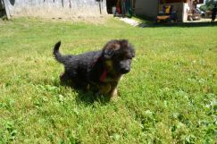 2018-08-12-souki002.jpg
