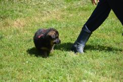 2018-08-12-souki034.jpg