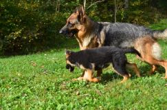 Nom du fichier=2018-09-29-souki018.jpg
Taille du fichier=263Ko
Dimensions : 1200x795
Ajouté le : 29 Septembre 2018 2018-09-29-souki018.jpg