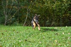 Nom du fichier=2018-09-29-souki021.jpg
Taille du fichier=261Ko
Dimensions : 1200x795
Ajouté le : 29 Septembre 2018 2018-09-29-souki021.jpg