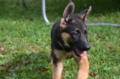 Nom du fichier=2018-09-29-souki025.jpg
Taille du fichier=178Ko
Dimensions : 1200x795
Ajouté le : 29 Septembre 2018 2018-09-29-souki025.jpg
