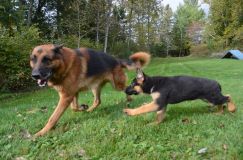 Nom du fichier=2018-09-29-souki027.jpg
Taille du fichier=245Ko
Dimensions : 1200x795
Ajouté le : 29 Septembre 2018 2018-09-29-souki027.jpg