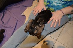Nom du fichier=2019-02-17souki016.jpg
Taille du fichier=221Ko
Dimensions : 1500x994
Ajouté le : 18 Février 2019 2019-02-17souki016.jpg