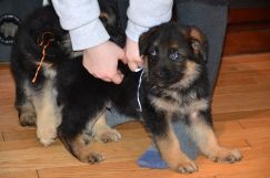 Nom du fichier=2019-03-09-soukibaru022.jpg
Taille du fichier=248Ko
Dimensions : 1500x994
Ajouté le : 09 Mars 2019 2019-03-09-soukibaru022.jpg