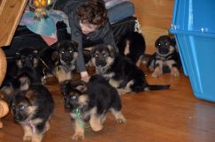 Nom du fichier=2019-03-09-soukibaru030.jpg
Taille du fichier=229Ko
Dimensions : 1500x994
Ajouté le : 09 Mars 2019 2019-03-09-soukibaru030.jpg