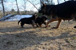 Nom du fichier=26avril18lucky010.jpg
Taille du fichier=237Ko
Dimensions : 1500x994
Ajouté le : 26 Avril 2018 26avril18lucky010.jpg