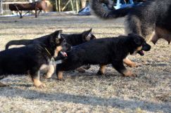 Nom du fichier=26avril18lucky026.jpg
Taille du fichier=250Ko
Dimensions : 1500x994
Ajouté le : 26 Avril 2018 26avril18lucky026.jpg