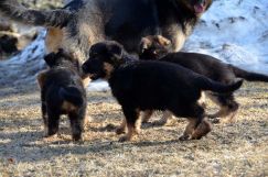 Nom du fichier=26avril18lucky029.jpg
Taille du fichier=251Ko
Dimensions : 1500x994
Ajouté le : 26 Avril 2018 26avril18lucky029.jpg