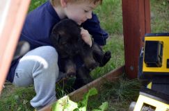 Nom du fichier=chiotbergerallemand-18aout2012069.jpg
Taille du fichier=171Ko
Dimensions : 1200x795
Ajouté le : 18 Août 2012 chiotbergerallemand-18aout2012069.jpg