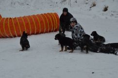 Nom du fichier=chiots--2-1-Janvier-2012018.jpg
Taille du fichier=91Ko
Dimensions : 1200x795
Ajouté le : 02 Janvier 2012 chiots--2-1-Janvier-2012018.jpg