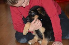 chiots-5-janv-2012043.jpg