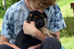 Nom du fichier=chiotsbergerallemand-24-juin2012016.jpg
Taille du fichier=182Ko
Dimensions : 1200x795
Ajouté le : 24 Juin 2012 chiotsbergerallemand-24-juin2012016.jpg