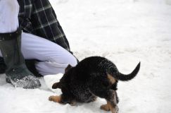 chiotskenyaroxy5fev-2012076.jpg