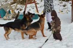 chiotslady-11-11014.jpg